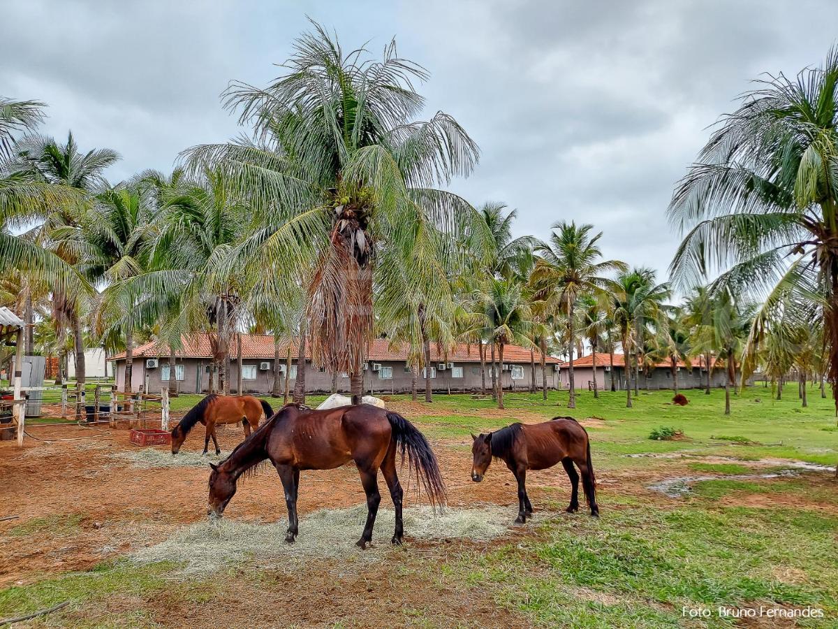 Campo Belo Resort Presidente Prudente Luaran gambar